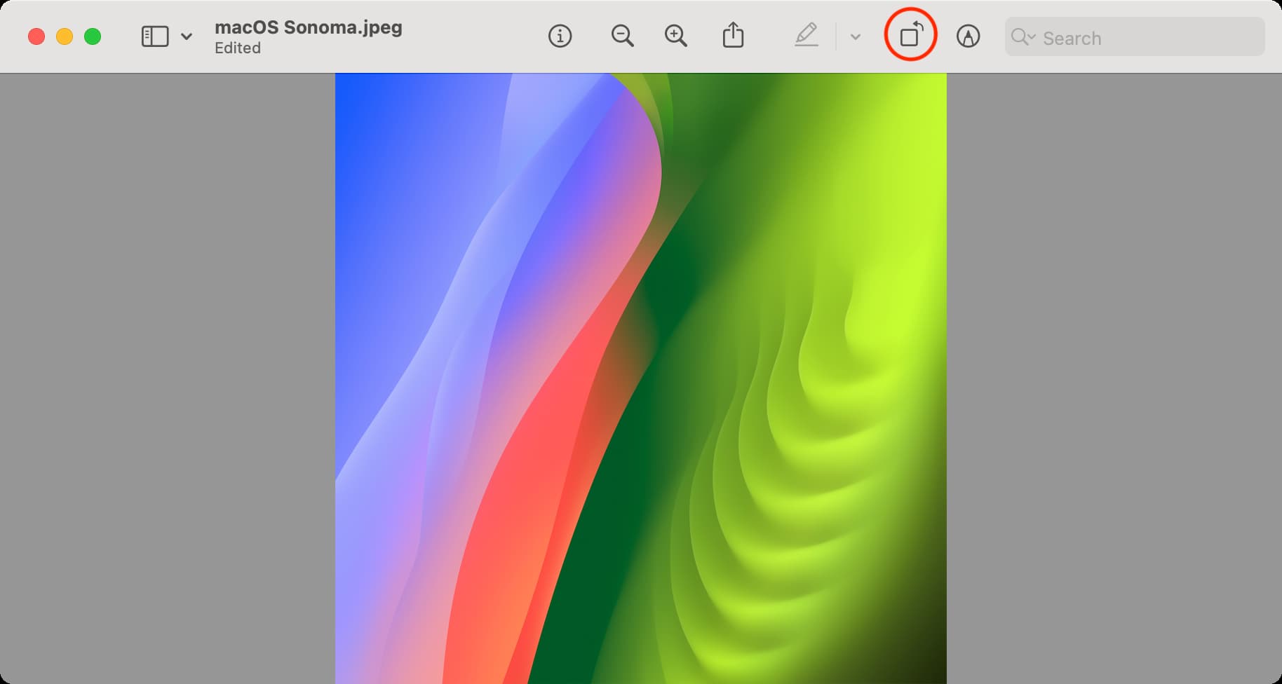 Ruota l'immagine nell'app Anteprima su Mac
