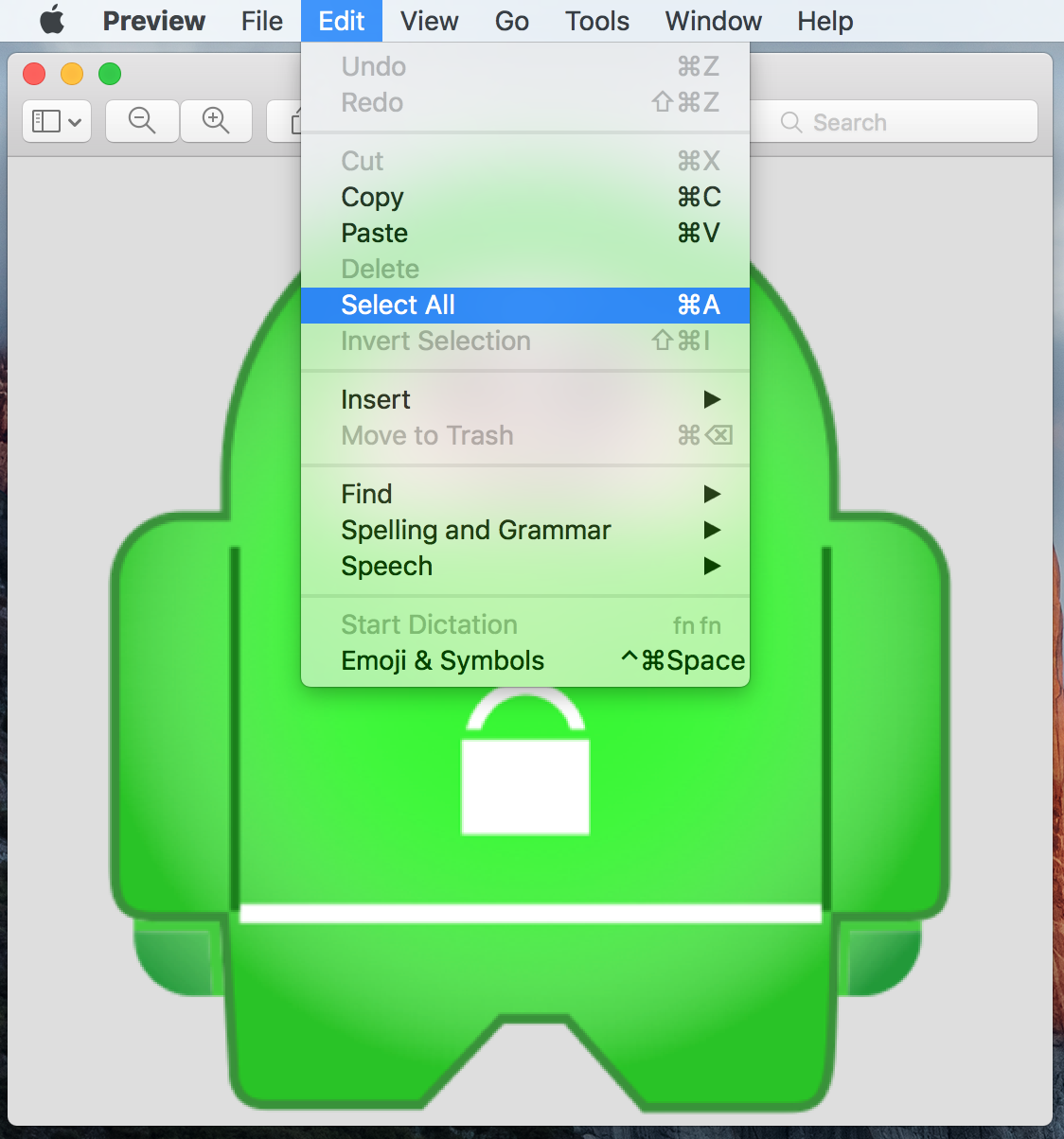 Seleziona Tutto per un'immagine in Anteprima su Mac