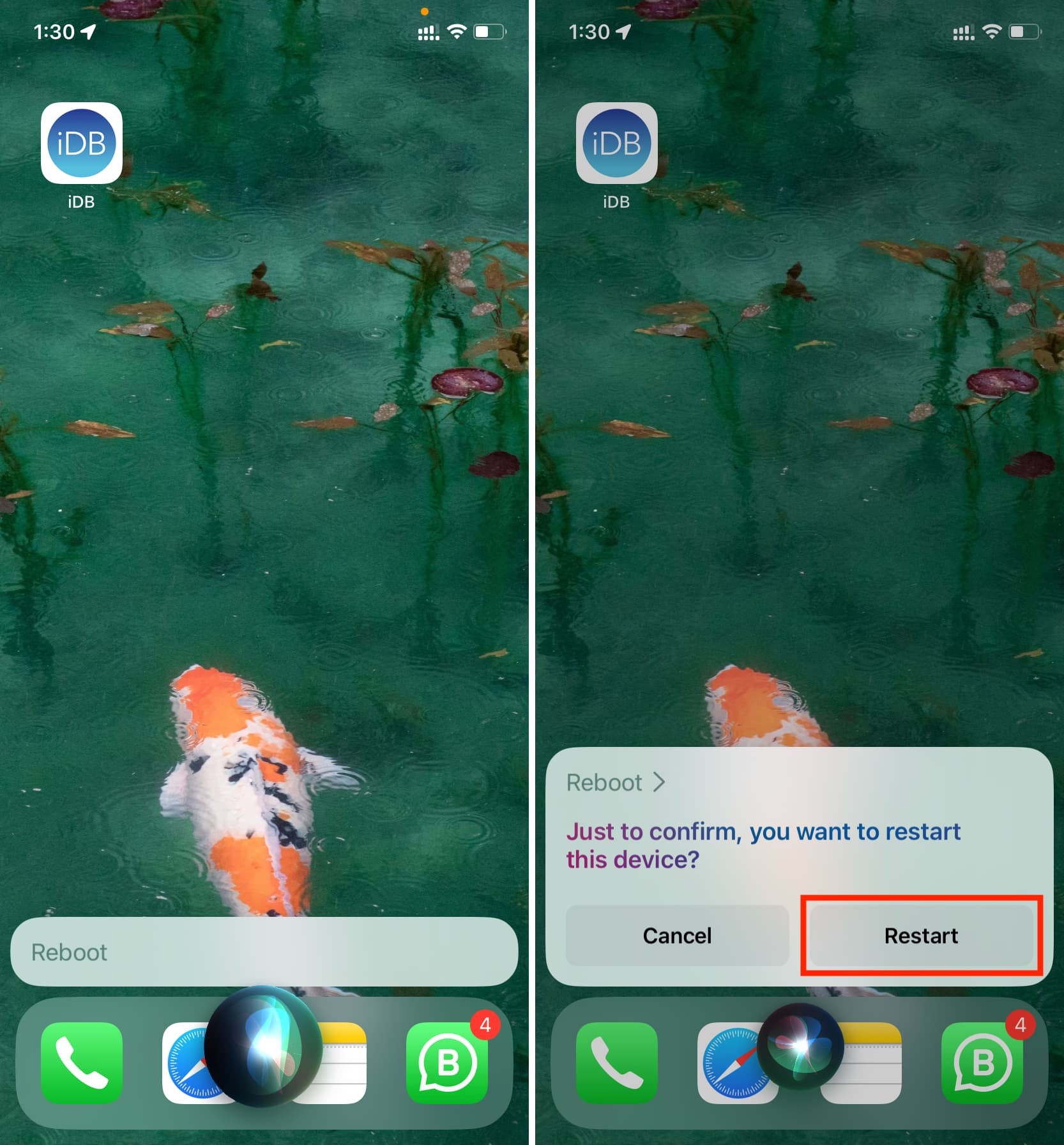 Chiedi a Siri di riavviare il tuo iPhone